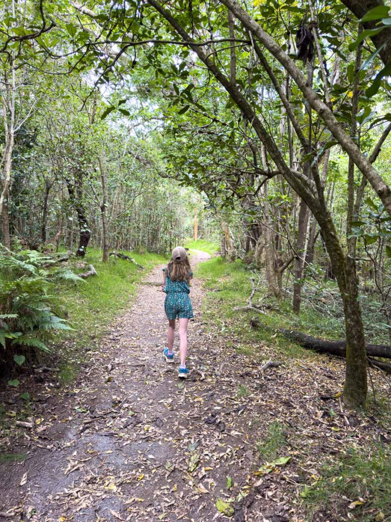 An 11-year old girl looks for birds on a family hike on the easy Kīpukapuaulu Trail in Hawaii Volcanos National Park.