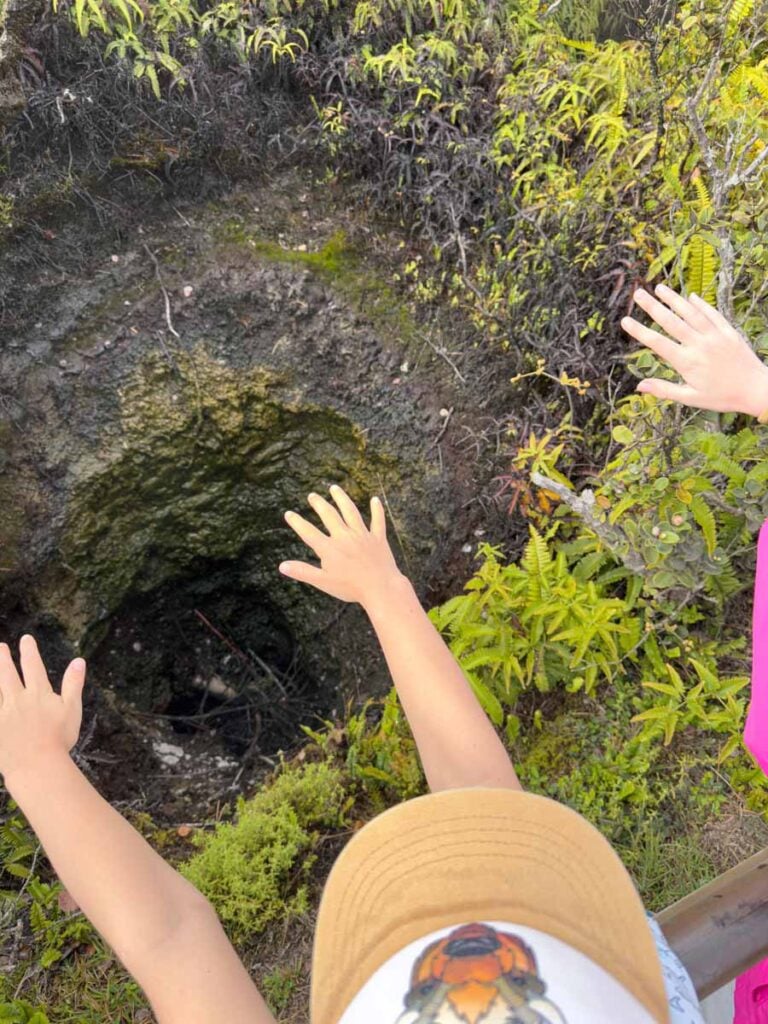 Two kids feel the heat rising from a steam vent along the Crater Rim Trail at Hawaii Volcanoes National Park.