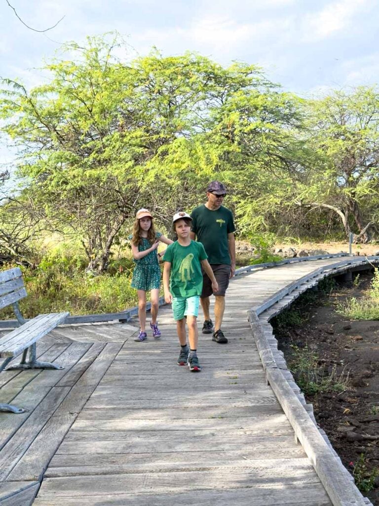 The Brewer family, from the FamilyCanTravel.com blog, look for petroglyphs on the Kaloko-Honokohau National Historic Park on the Big Island.