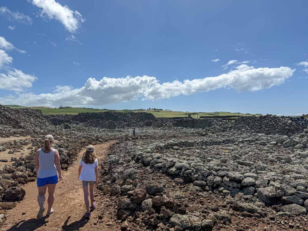 Celine Brewer walks through the Moโokini Heiau ruins while on a fun family hike on the Big Island.