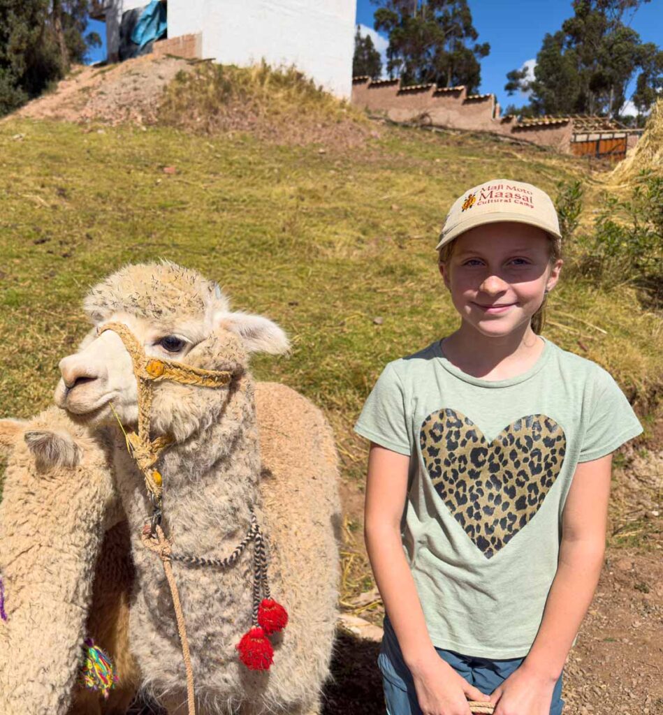 an 11-year old girl on a family trip to Cusco, smiles with her alpaca on a family-friendly hiking with llamas tour.