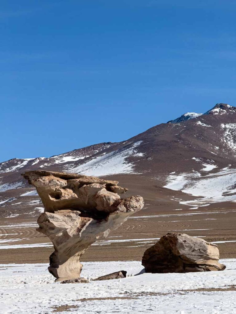 The Stone Tree in Eduardo Avaroa Andean Fauna National Reserve, Bolivia.