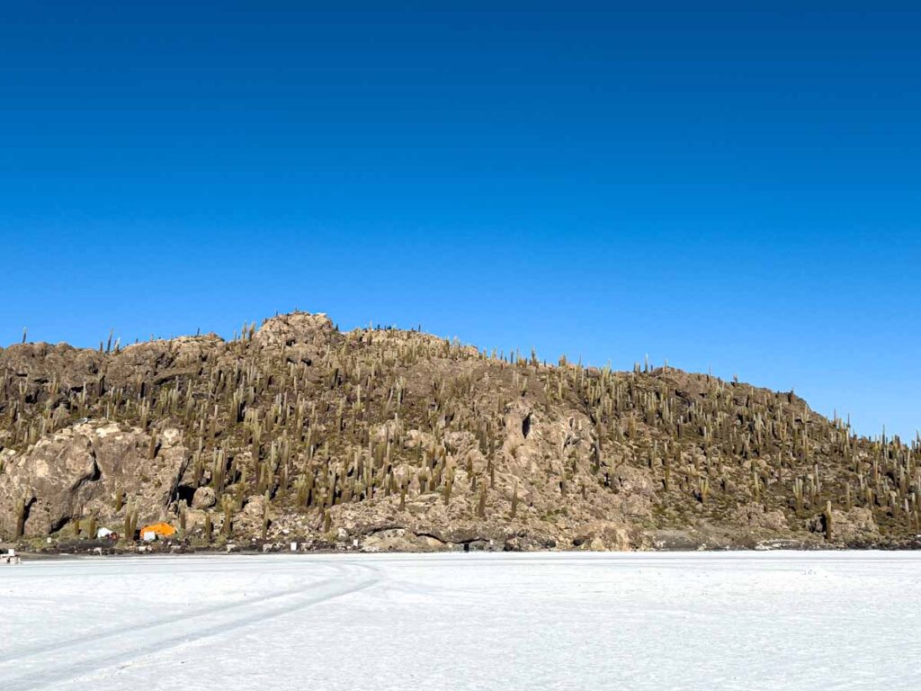 Isla Incahuasi (Incawasi Island) is surrounded by a sea of white salt in the Uyuni Salt Flats, Bolivia.