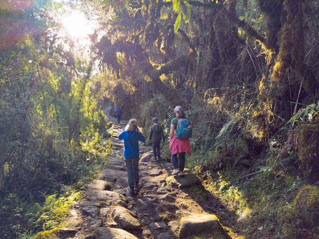 Celine Brewer, owner of FamilyCanTravel.com, hikes through a very lush section of the Inca Trail at the end of Day 2.