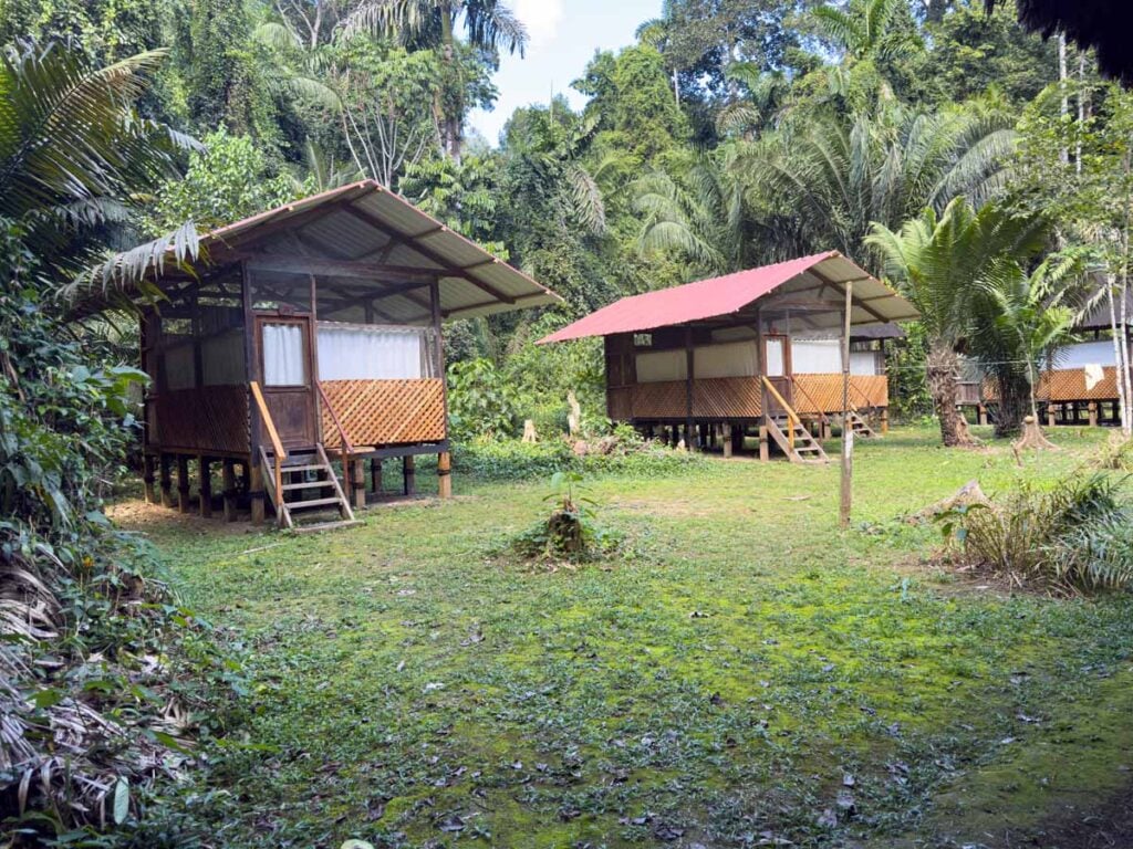Our basic cabins at a jungle lodge in Manu National Park.