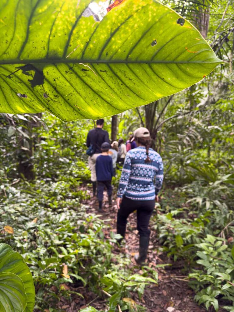Celine Brewer, owner of FamilyCanTravel.com, walks through dense jungle on a family tour in Manu National Park.