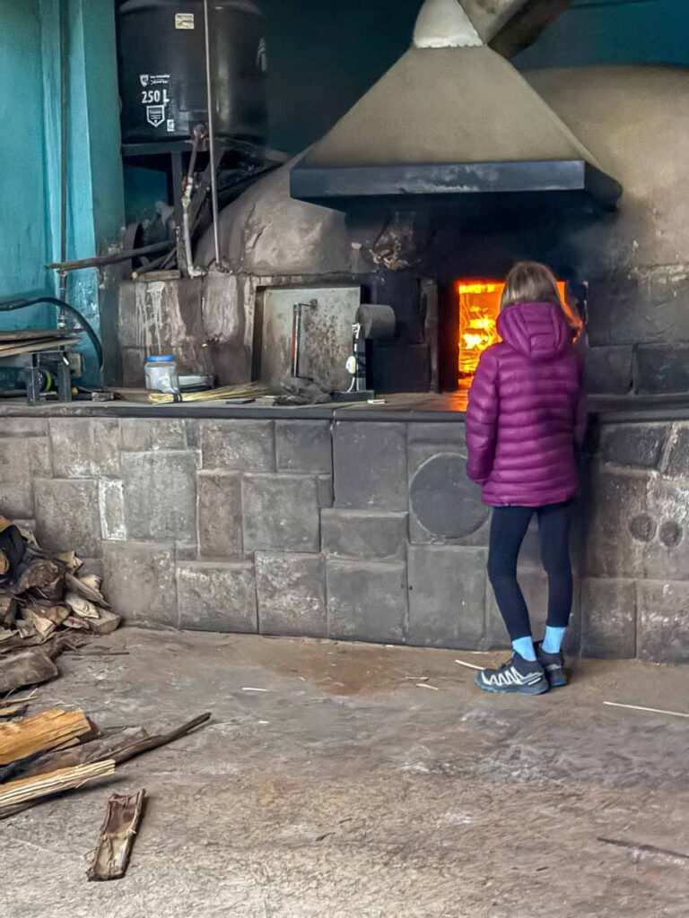 a 12-year old girl checks out the wood fired bread oven at a bakery in Oropesa, Peru on her way to a family-friendly tour of Manu National Park.