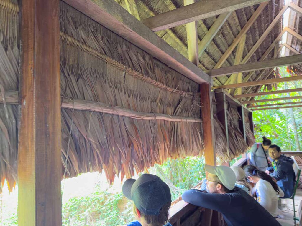 watching for macaws at the clay lick was one of the fun activities we did on our family-friendly tour of Manu National Park.