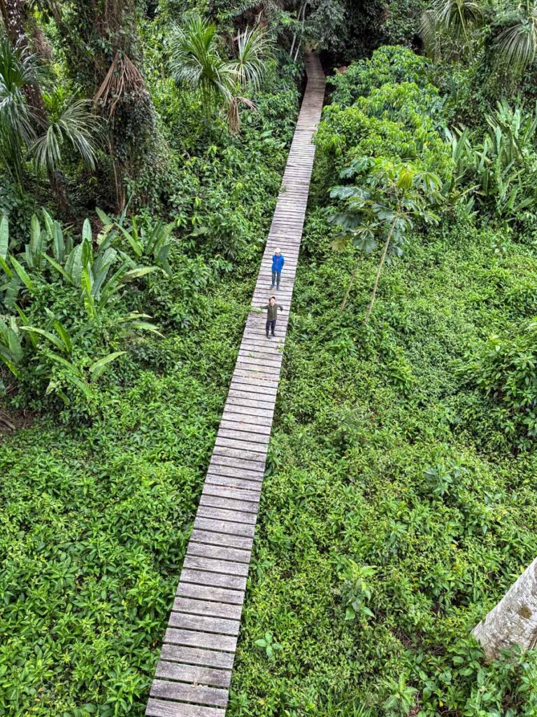 The Brewer kids, from FamilyCanTravel.com, stand on a wooden boardwalk beneath the observation tower at the Manu National Park observation tower.