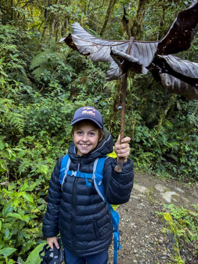 a 9-year old boy has fun with a giant leaf while on a walk in the cloud forest on a family tour of Manu National Park.