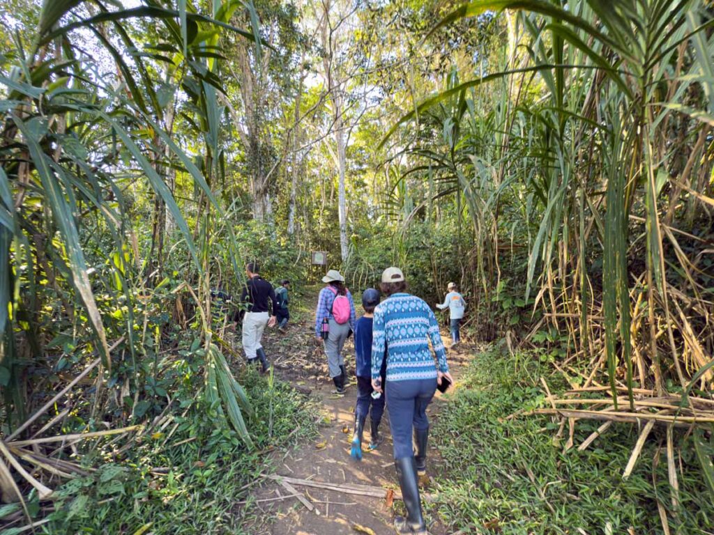 Celine Brewer, owner of the Family Can Travel blog, walks through the jungle towards Salvador Lake while visiting Manu National Park with her kids.