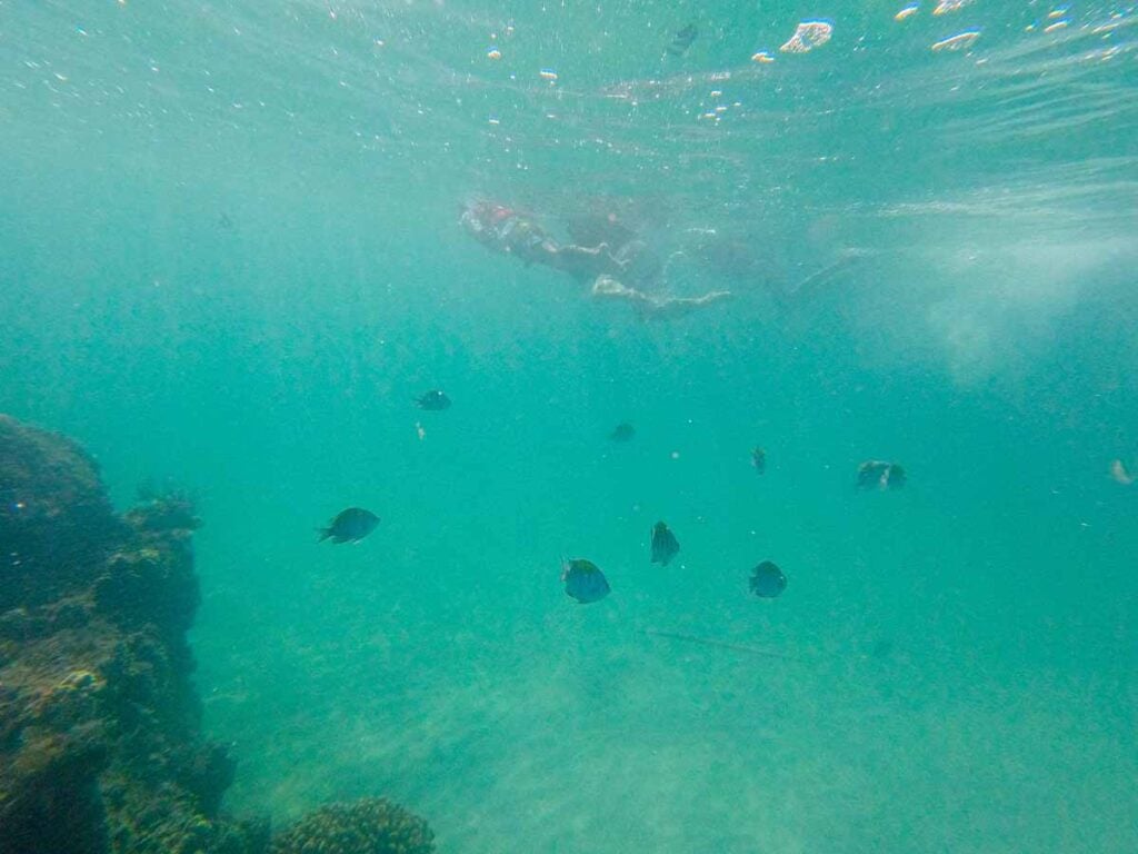 Celine Brewer and her daughter enjoy snorkeling at Pelican Rock at Playa Balandra.