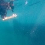 Celine Brewer, owner of FamilyCanTravel.com, swims next to a whale shark while on a family trip to La Paz, Mexico.