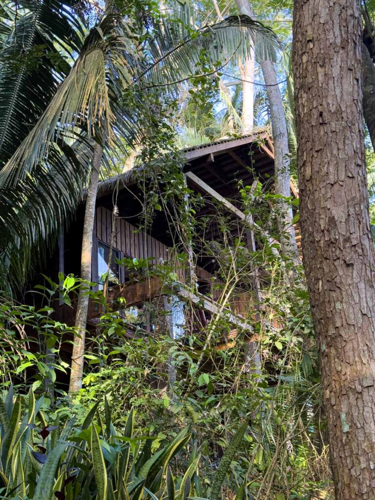 a treehouse blends into the jungle setting at the Sweet Songs Lodge in San Ignacio, Belize.