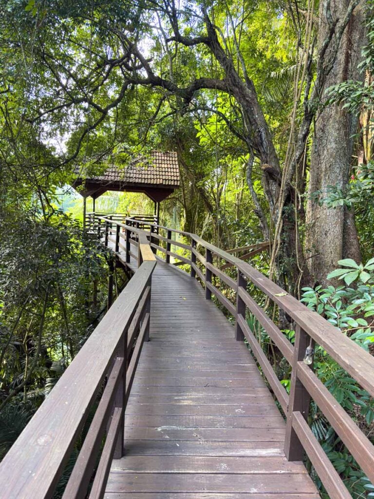 an elevated boardwalk for wildlife viewing at the Sweet Songs Jungle Lodge in San Ignacio, Belize.