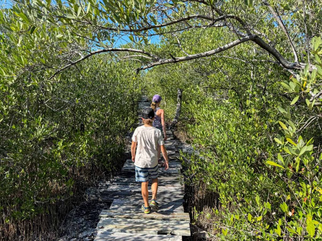 The Brewer kids, from FamilyCanTravel.com, begin the walk into Marco Gonzalez Archaeological Reserve on Ambergris Caye.