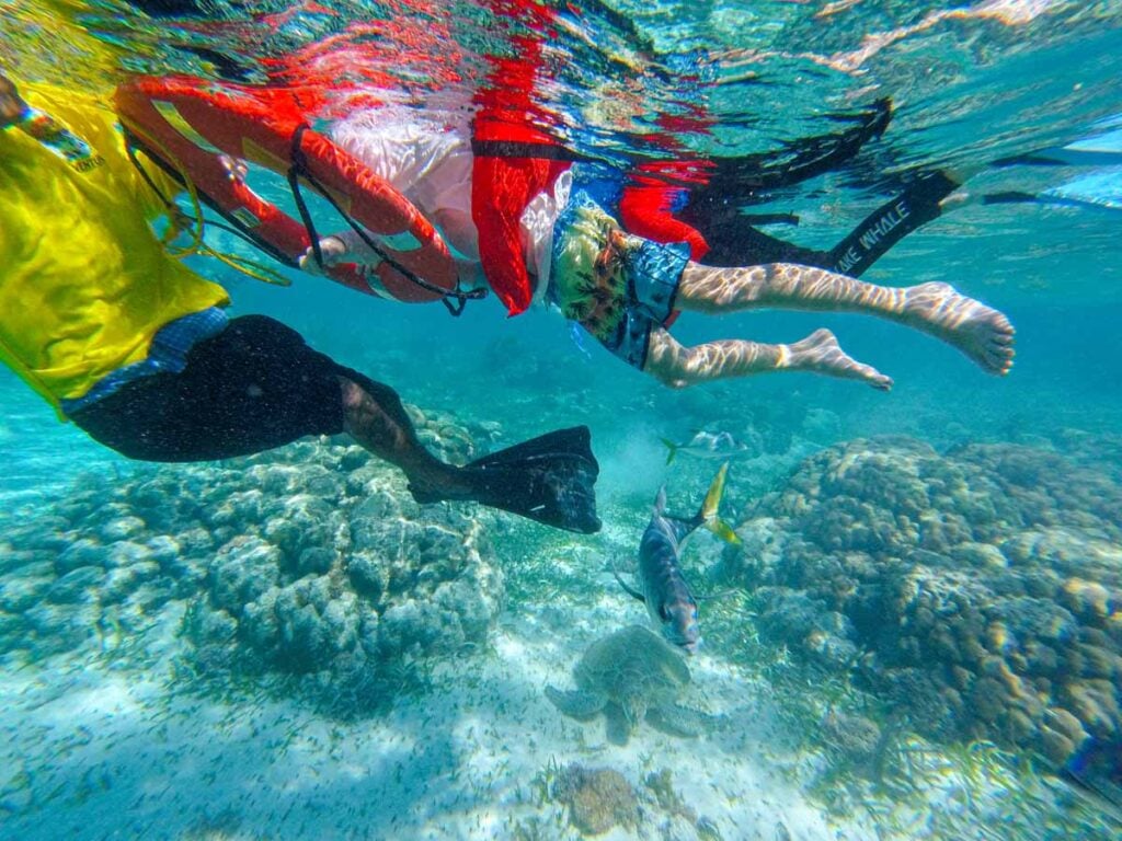 Our guide pulls our 10-year old son around the Hol Chan Marine Reserve during our family-friendly snorkeling tour.