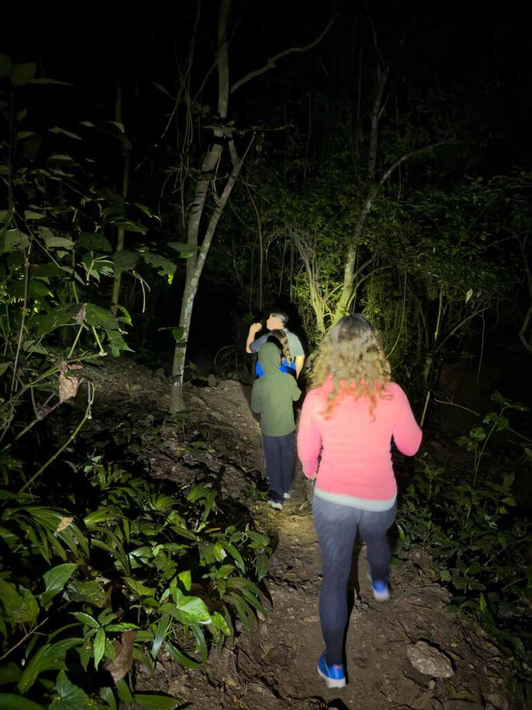 Celine Brewer, owner of FamilyCanTravel.com, goes on a jungle night walk with her family during a 5 night stay at the Sweet Songs Jungle Lodge in San Ignacio, Belize.