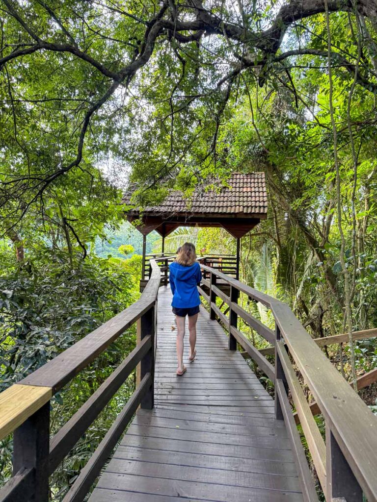 a 12-year old girl walks the elevated wildlife viewing platform at the Sweet Songs Jungle Lodge, Belize.