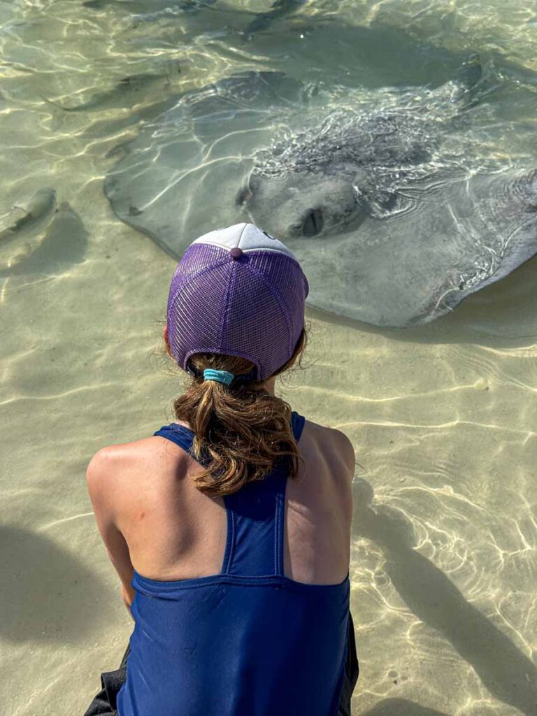 a 12-year old girl on a family vacation to Ambergris Caye pets a large stingray at Stingray beach while on a snorkeling tour.