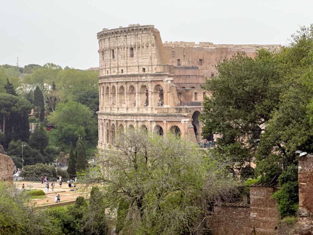 an excellent view of the Colosseum from Palatine Hill in Rome.