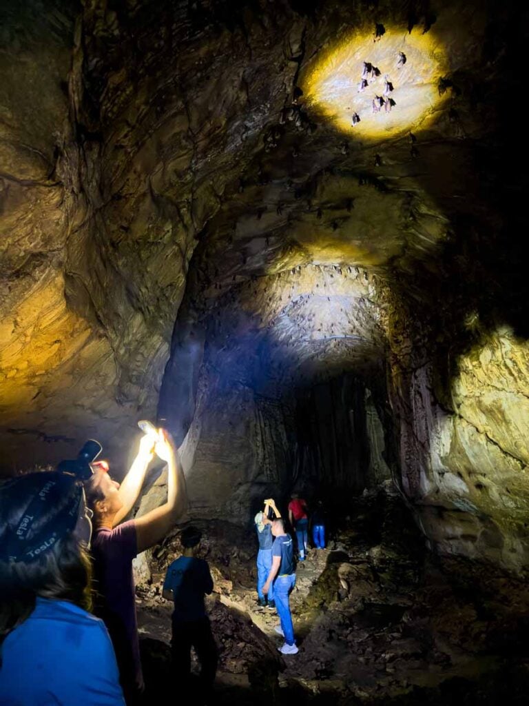 Celine Brewer and her kids illuminate bats hanging from ceiling of the bat cave near Bukit Lawang.
