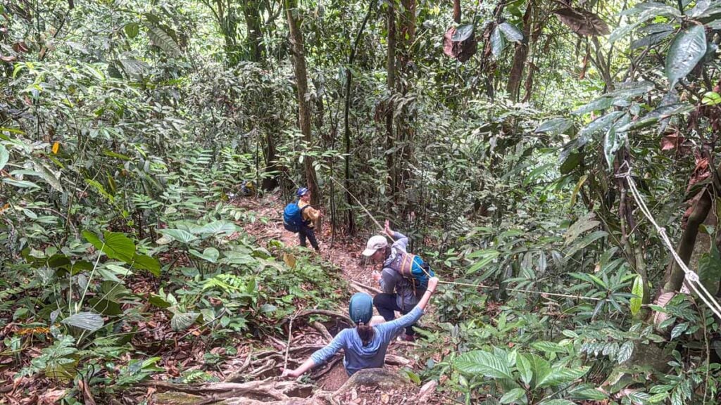 Celine Brewer and her daughter hike through the jungle in Gunung Leuser National Park during a trip to Bukit Lawang with kids.