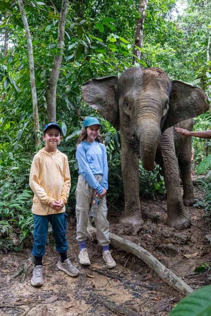 The Brewer kids stand with a Sumatran elephant during a jungle walk in Tangkahan, Indonesia.