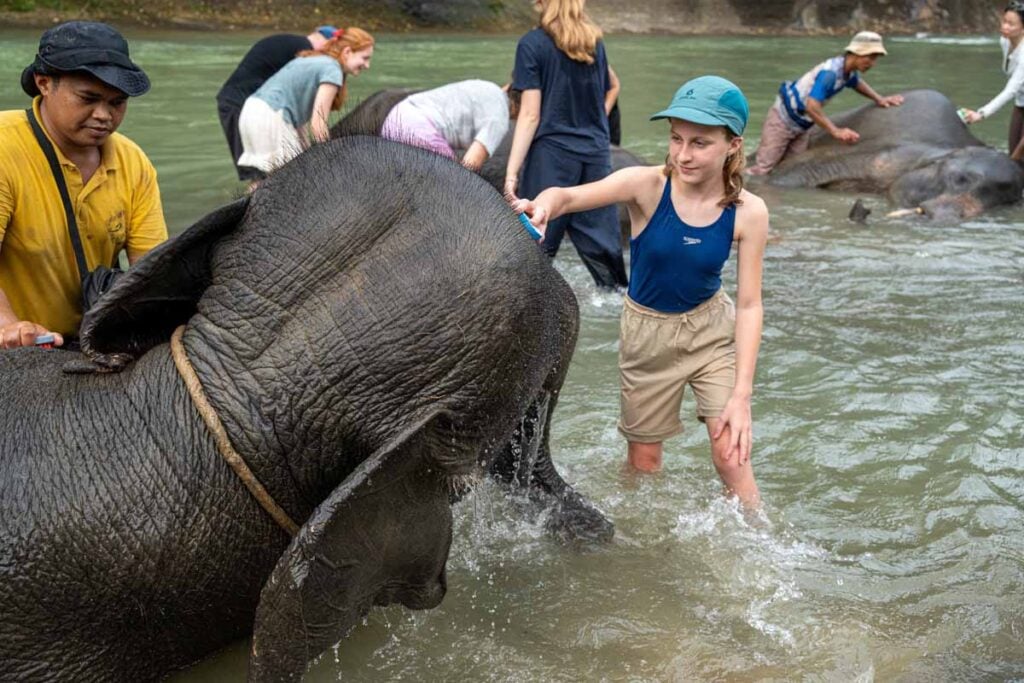 A Brewer child bathes a Sumatran elephant in a river near Tangkahan, Sumatra.