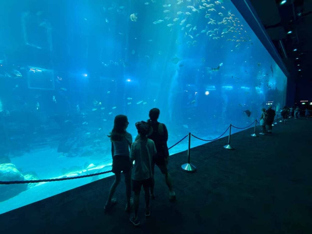 Celine Brewer and her kids enjoy the massive Open Ocean tank at the Singapore Oceanarium.