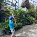 Singapore with Kids - Cloud Forest - Jurassic World Experience - T-rex A Brewer child pretends to be scared of an animatronic T-Rex at the Cloud Forest in Singapore.