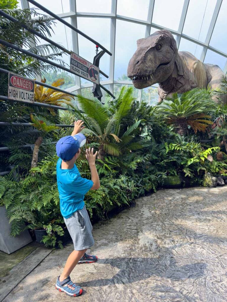 A Brewer child pretends to be scared of an animatronic T-Rex at the Cloud Forest in Singapore.