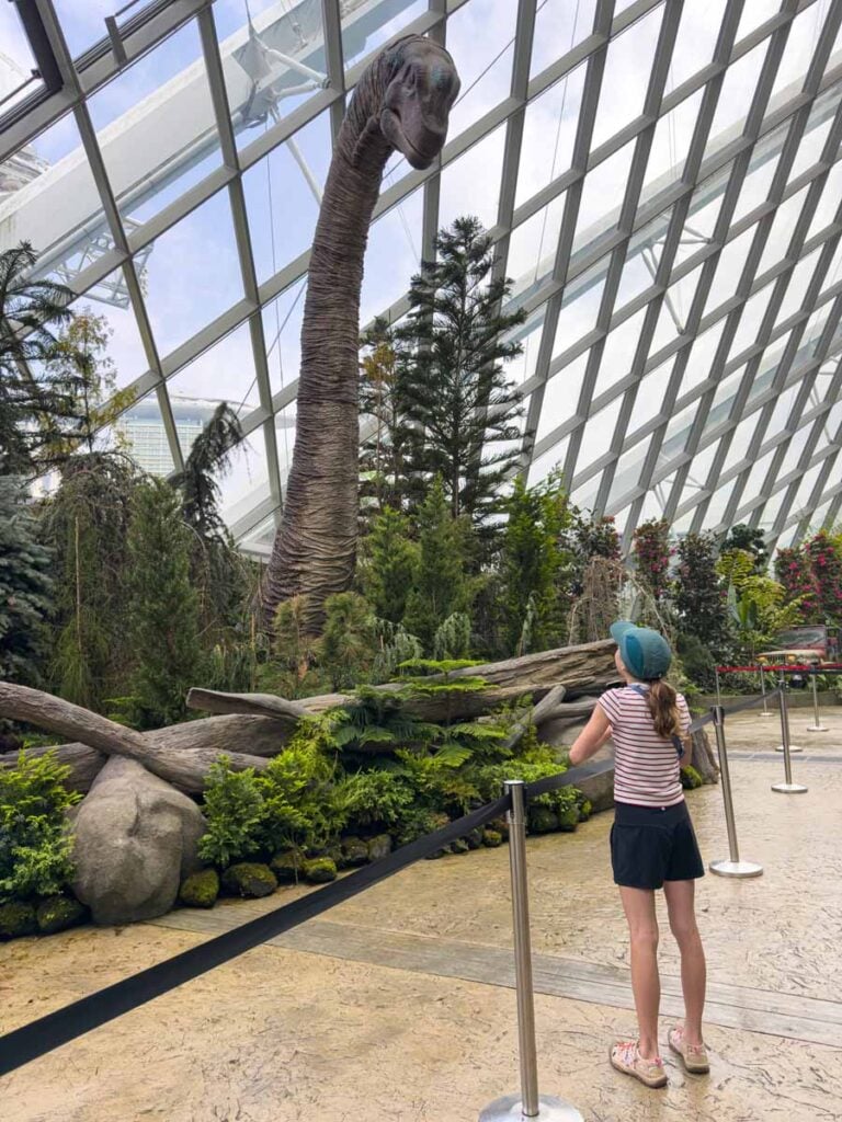 A Brewer child looks way up at a large dinosaur at the Cloud Forest on a family trip to Singapore.
