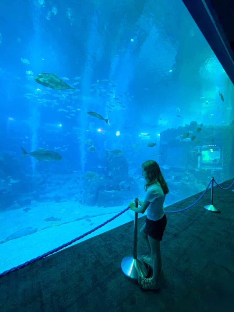 One of the Brewer kids watches the massive ocean environment in the Open Ocean exhibit at the Singapore Oceanarium in Sentosa.