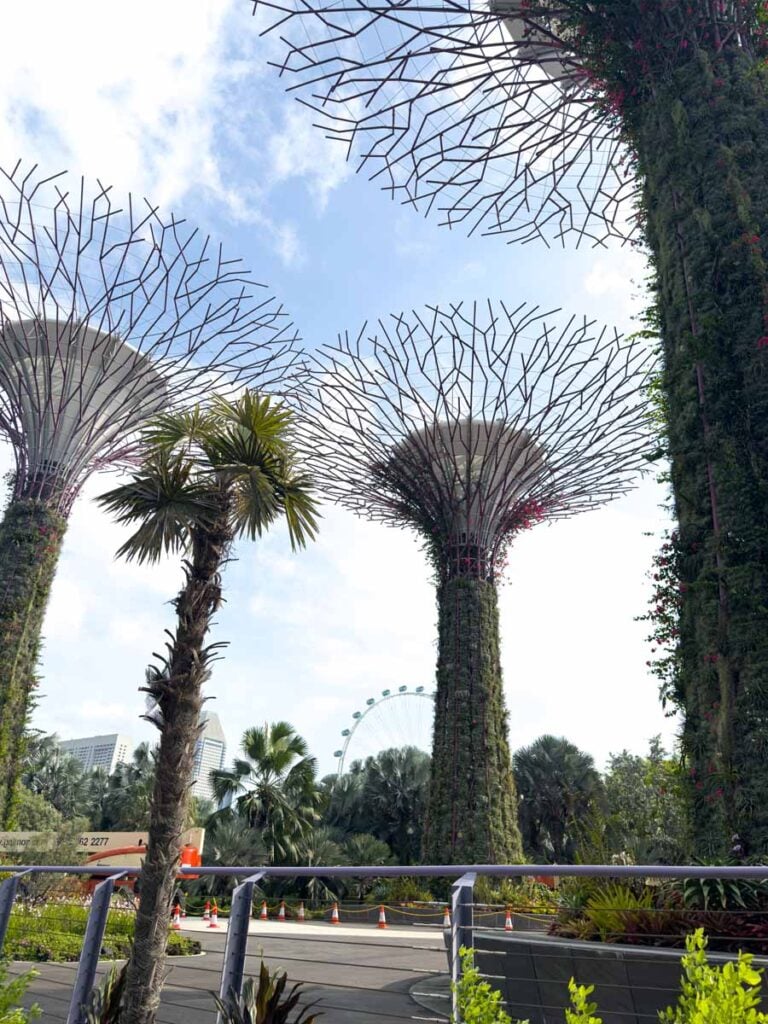 Supertrees at Gardens by the Bay in daytime.