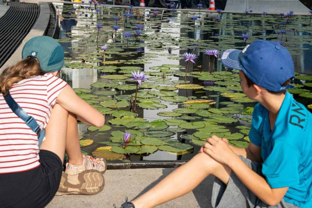 The Brewer kids stop to admire the lotus flowers in front of the ArtScience Museum during a family trip to Singapore.