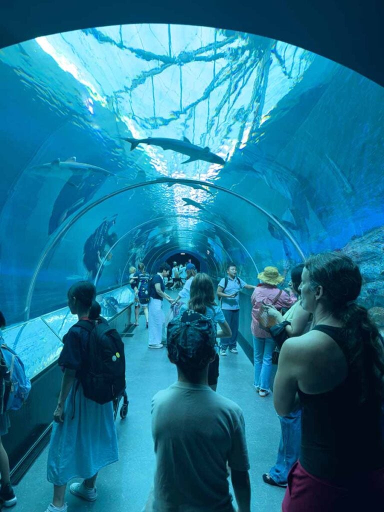 Celine Brewer, owner of FamilyCanTravel.com, walks through the Shark Seas underwater tunnel with her son during a visit to the Singapore Oceanarium.
