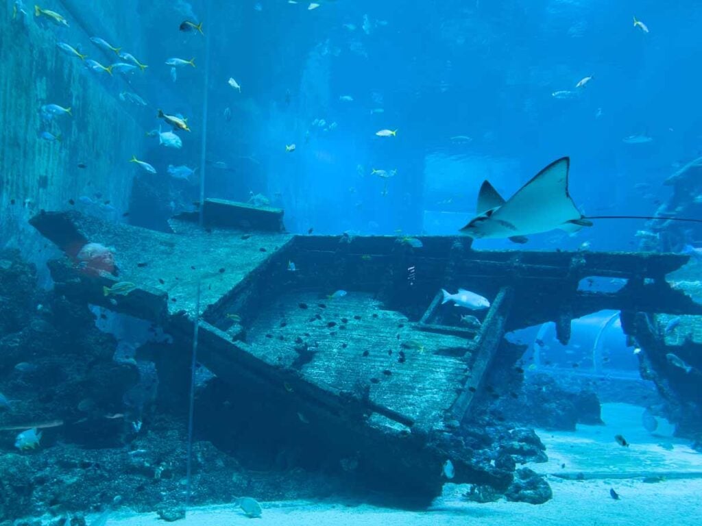 The interesting and creative shipwreck tank was one of our favourites at the Singapore Oceanarium.