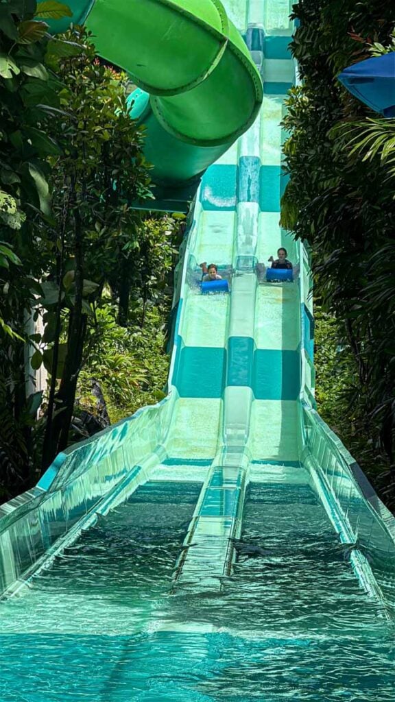 The Brewer kids race each other on the Dueling Racer slides at the Adventure Cove Waterpark in Sentosa, Singapore.