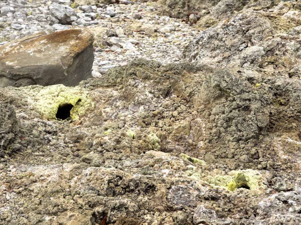 Yellow sulphur on steam vents at Crater 1 in the Jaboi Geothermal Area on Pulau Weh, Indonesia.