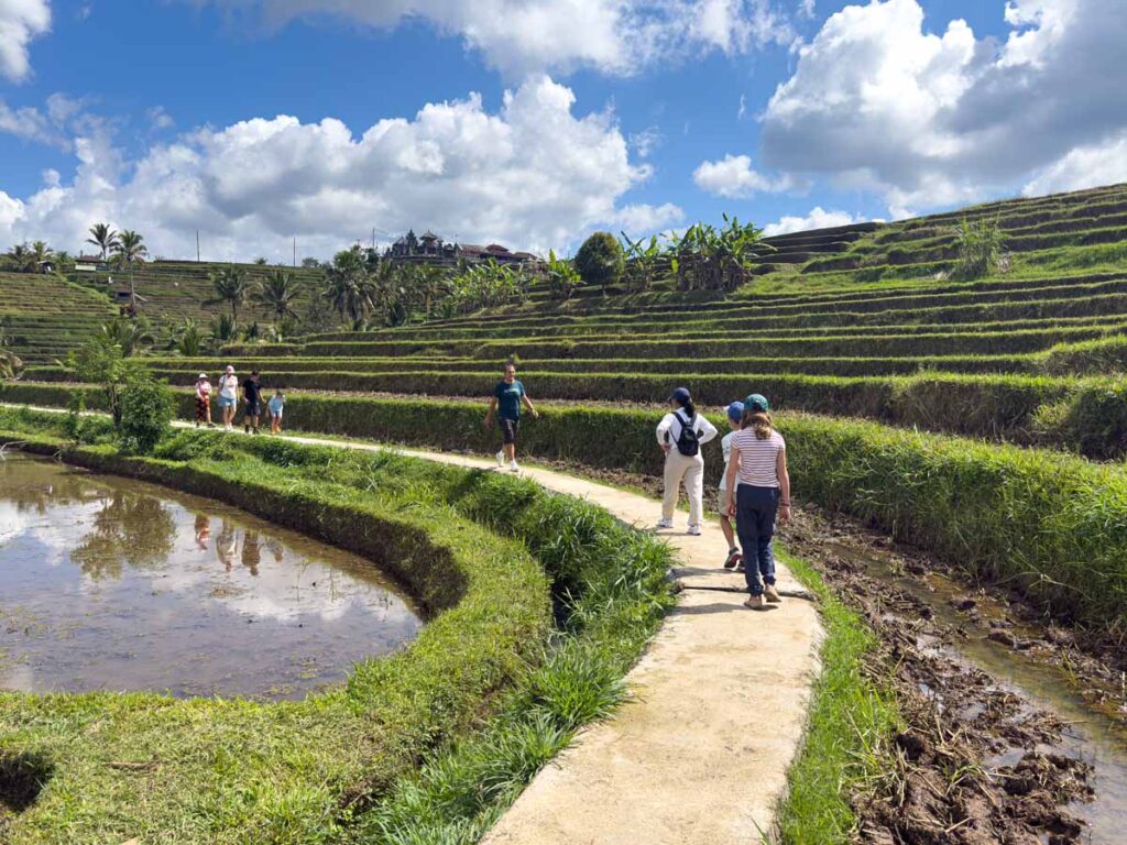 The Brewer kids enjoy a walking tour through the Jatiluwih Rice Terraces on a family trip to Bali.