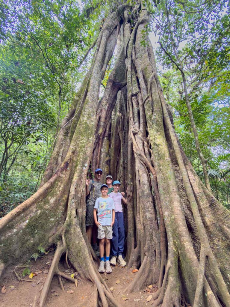 The Brewer family stand inside a hollow banyan tree on the kid-friendly Twin Lakes hiking tour in Bali.