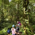 Things to do in Bali with kids - Twin Lakes Hiking Tour - Jungle Hike The Brewer family walks through the jungle on the Twin Lake hiking tour in Bali.