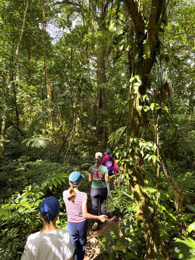 The Brewer family walks through the jungle on the Twin Lake hiking tour in Bali.