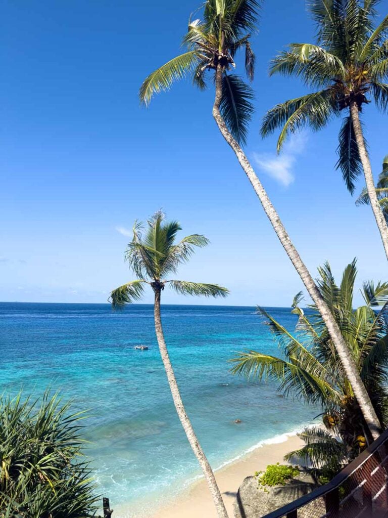 Palm trees over turquoise water at Freddies Santai Sumurtiga Hotel in Pulau Weh, Indonesia.