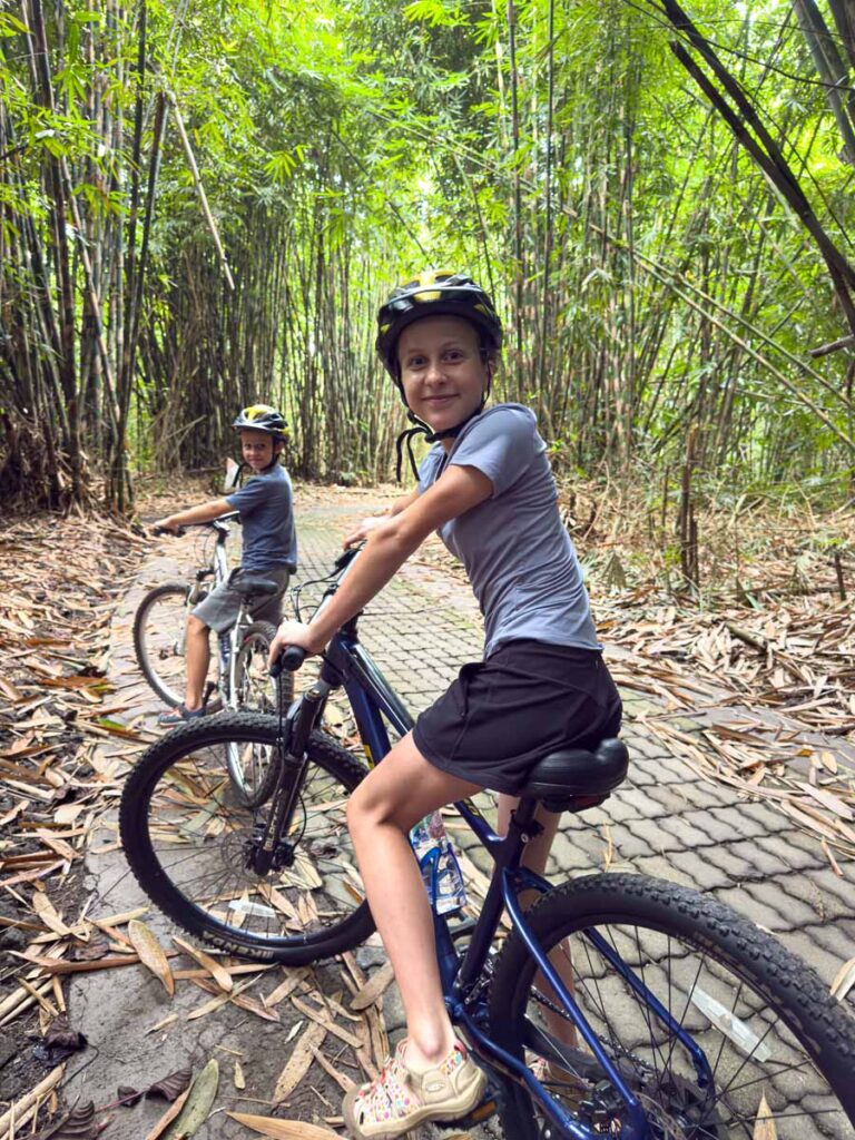 The Brewer kids cycle through a dense bamboo forest on a family trip to Bali.